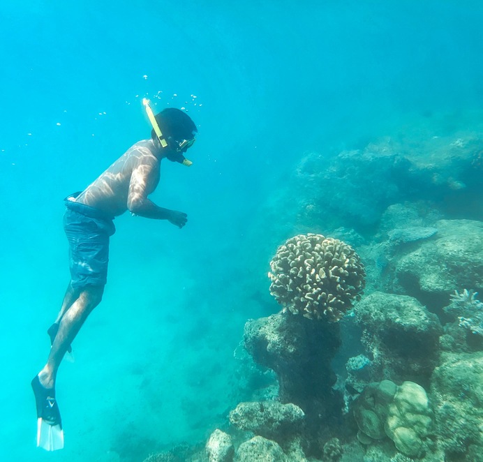 3746d70d-3c3c-4d24-85f8-1946c6560eae