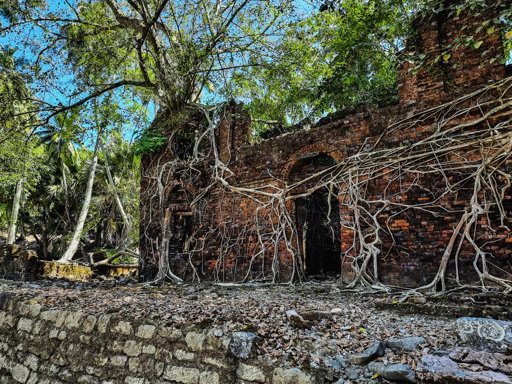 Colonial-era brick ruins on Ross Island in Andaman Islands overtaken by massive tree roots and surrounded by dense tropical vegetation